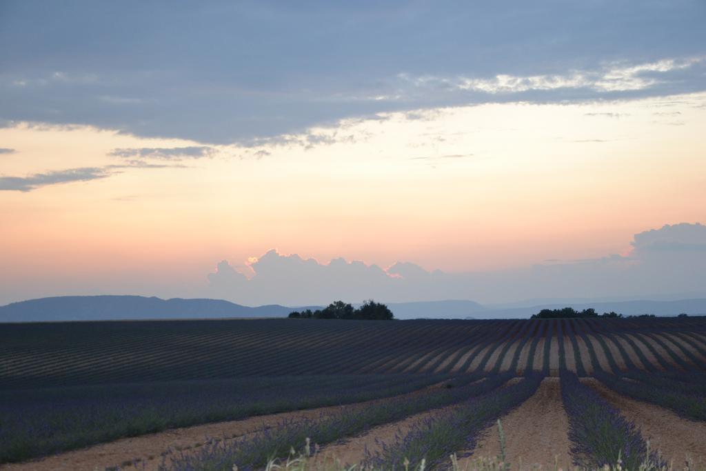Les Terrasses De Valensole Bed & Breakfast Exterior foto